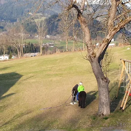 Bauernhof Neu-endfelden, Guenter Widauer