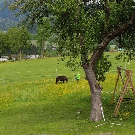 Bauernhof Neu-endfelden, Guenter Widauer Feriegård