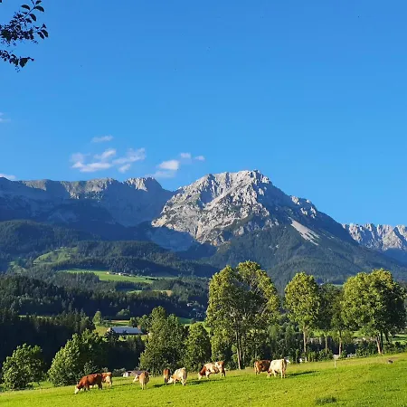 Bauernhof Neu-endfelden, Günter Widauer