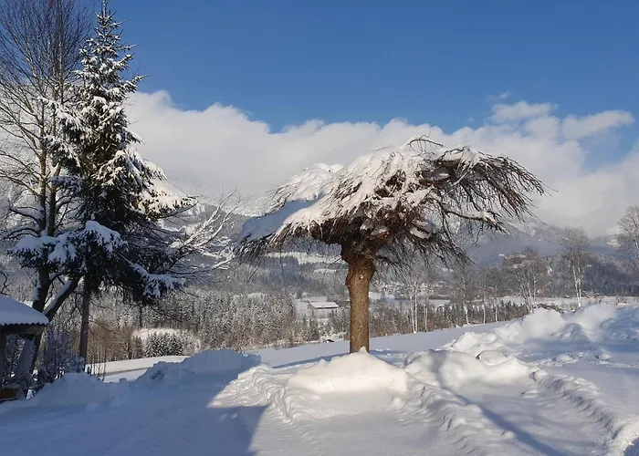 Bauernhof Neu-endfelden, Guenter Widauer ファームステイ ゼル