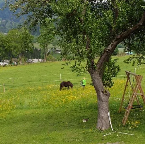 Bauernhof Neu-endfelden, Guenter Widauer ファームステイ